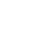 Genius fabrik