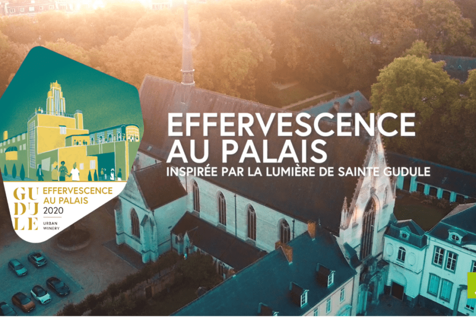 Header Article l'agence de pub - Effervescence au palais.